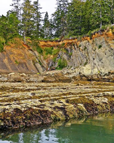 Sunset Bay State Park in Coos County, Oregon 17