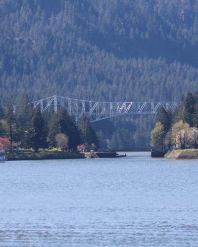 A wide river scene featuring a large white truss bridge spanning the background, with a tour boat docked on the left shore and forested hills rising behind.