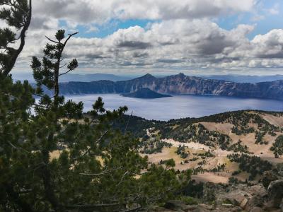 A high-angle landscape view looking down upon Crater Lake, featuring the prominent cinder cone of Wizard Island in the center, framed by pine branches in the foreground.