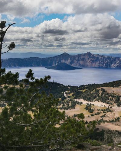 A high-angle landscape view looking down upon Crater Lake, featuring the prominent cinder cone of Wizard Island in the center, framed by pine branches in the foreground.