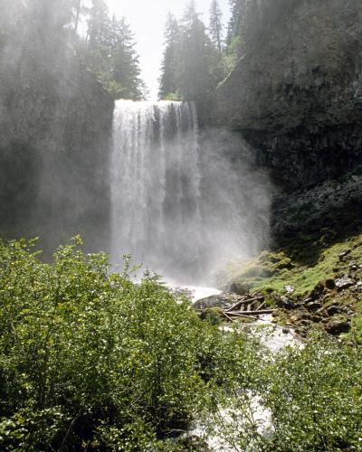 Tamanawas Falls pouring over a basalt cliff on Cold Spring Creek