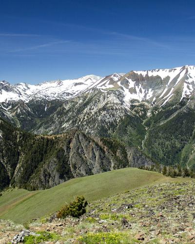A high-angle landscape photograph showing a rugged, snow-dusted mountain range (likely the Eagle Cap range) with green alpine meadows in the foreground and a clear blue sky.