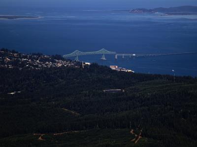 A high-angle view of a long cantilever and truss bridge spanning a wide body of water, with a forested hillside in the foreground and a town on the far shore.