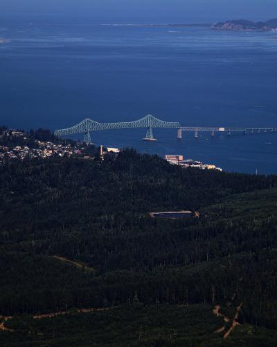 A high-angle view of a long cantilever and truss bridge spanning a wide body of water, with a forested hillside in the foreground and a town on the far shore.