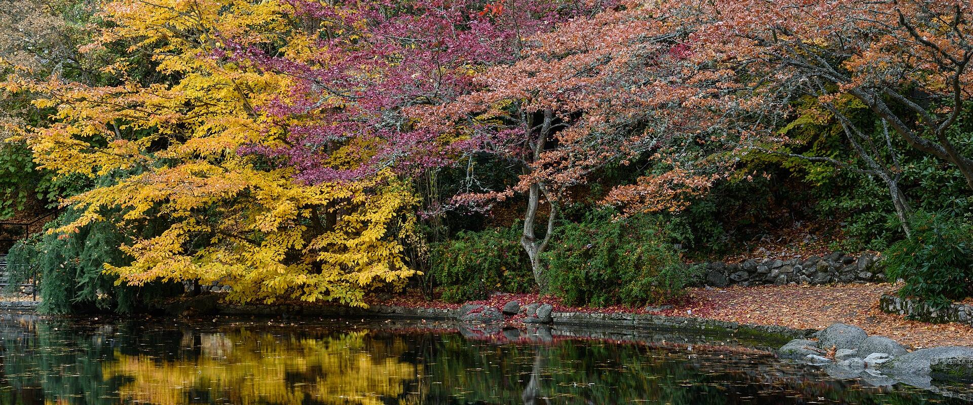 Lithia Park
