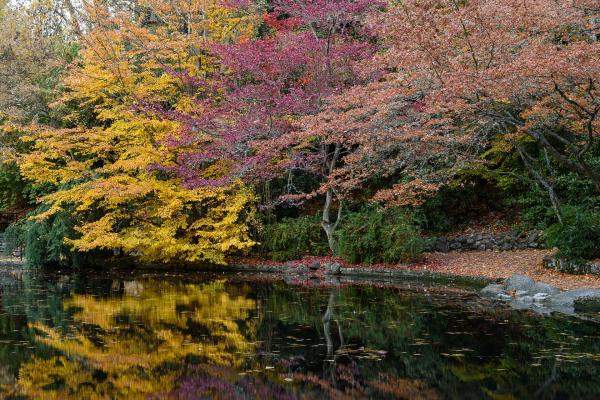Lithia Park